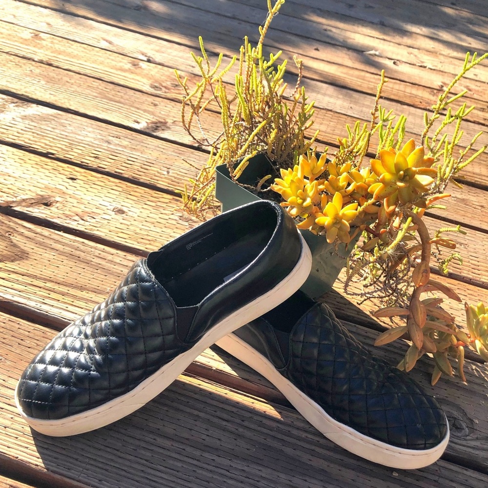 Steve Madden Slip Ons